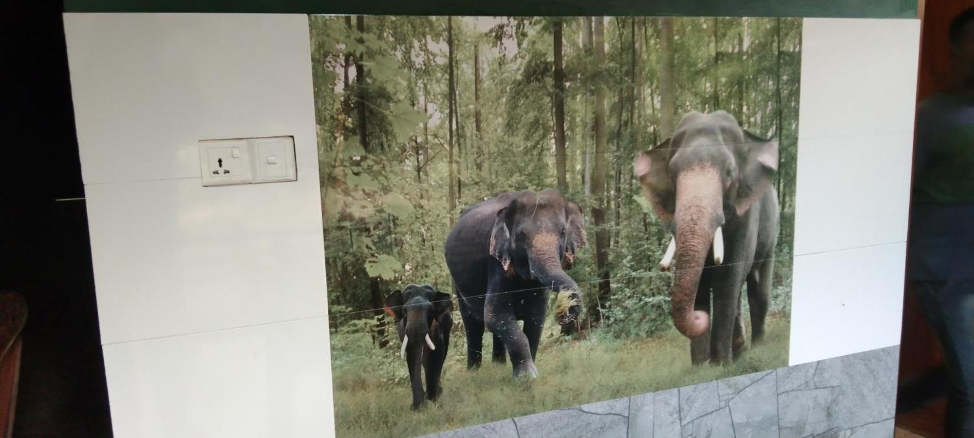Kanneliya Eco Garden Hotel Koralegama Exteriér fotografie